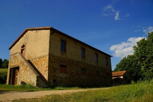 Podere Consalvo