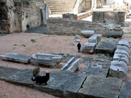 Trieste - Lezioni di storia Trieste - Lezioni di storia