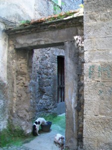 chi mangia e chi beve