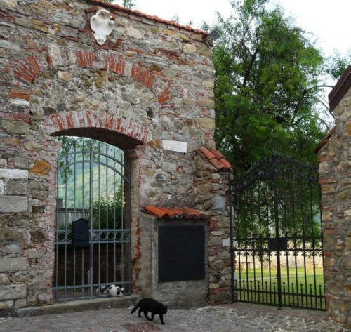 Castelnuovo Magra - La nobiltà felina esce Castelnuovo Magra - La nobiltà felina esce