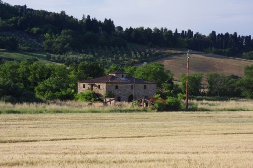 Collesalvetti - Casolare lungo la Statale Emilia Collesalvetti - Casolare lungo la Statale Emilia