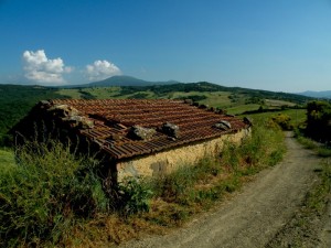 In Val d’ Orcia