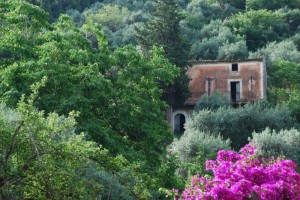 La bella abbandonata nel bosco