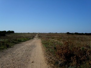Lunga e diritta correva la strada … isola di Pianosa (Arcipelago Toscano)