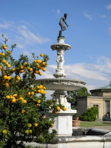 Firenze - La Fontana (e la Domenica) Firenze - La Fontana (e la Domenica)