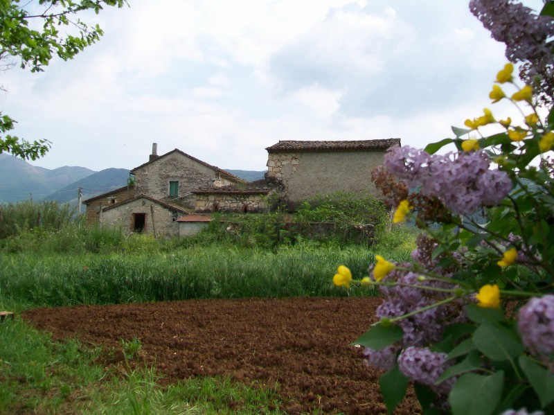 ''Profumo di Lillà'' - Amaseno