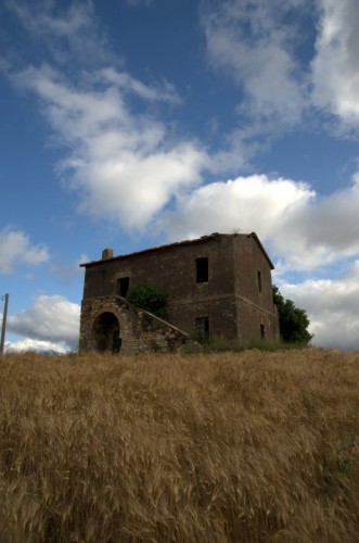 Tarquinia - IL CASALE E IL BIONDO GRANO Tarquinia - IL CASALE E IL BIONDO GRANO