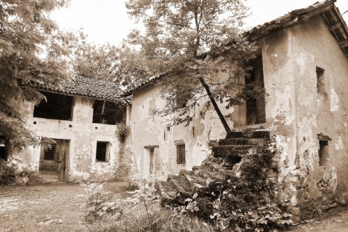 Sedico - Triva Sedico - Triva