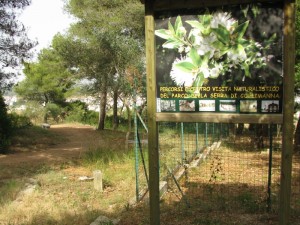 percorso parco serra della madonna coelimanna