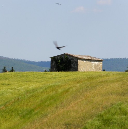Colle di Val d'Elsa - Il Casolare delle rondini Colle di Val d'Elsa - Il Casolare delle rondini