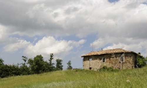 Zocca - Sopravvivere..anche con le stampelle Zocca - Sopravvivere..anche con le stampelle