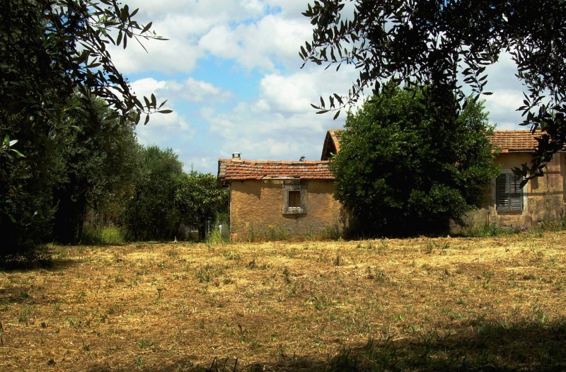 ''Piccola ma graziosa!!!'' - Roma