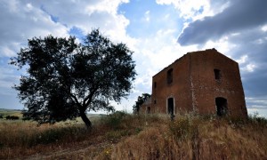 La casa e l’albero, inutile attesa!