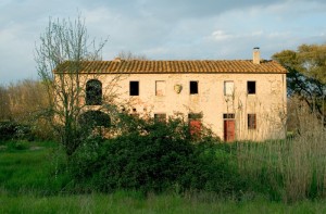 Padule di Fucecchio - Le Morette