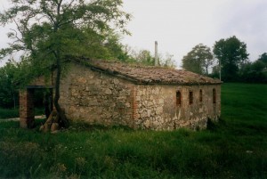 Circondata dal verde
