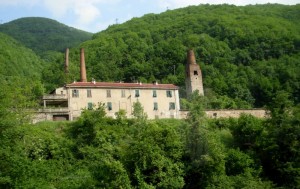 La Calce di Creverina