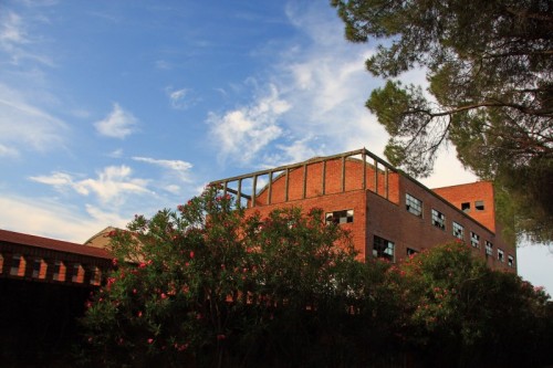 Cecina - Zuccherificio di Cecina Cecina - Zuccherificio di Cecina