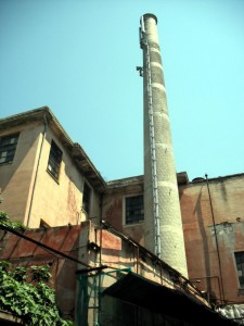 Abbandonato ….. al suo destino