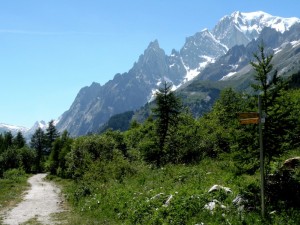 Sentiero Pré de Bard – Planpicieux con vista sul Monte Bianco