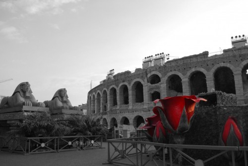 Verona - in piazza rose rosse per l'arena di Verona Verona - in piazza rose rosse per l'arena di Verona