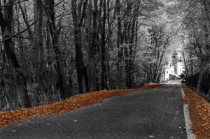 Il Viale del tramonto