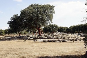 Goni Tomba megalitica