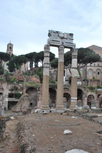 Roma - resti del tempio al foro romano
