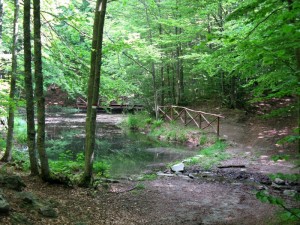 La Gorga Nera e il sentiero n.17