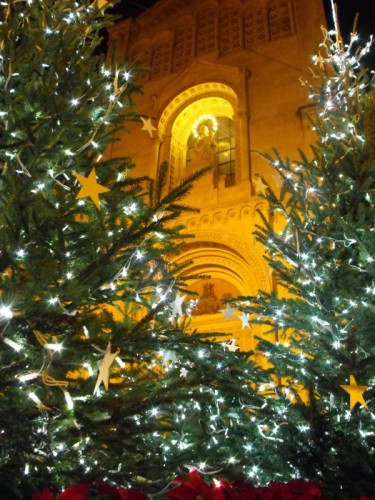 Misterbianco - luci e stelle per... Misterbianco - luci e stelle per...