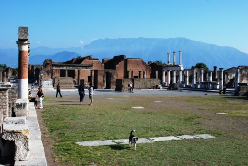 Pompei - C'è vita nel Foro