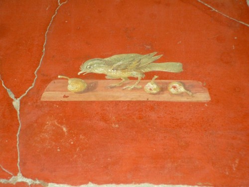 Torre Annunziata - Il pranzo dell'uccellino Torre Annunziata - Il pranzo dell'uccellino