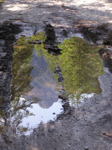 Dobbiaco - tracce Dobbiaco - tracce