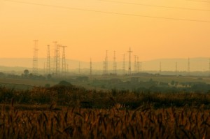 Campi di grano e campi di antenne