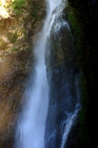 La bellezza della natura