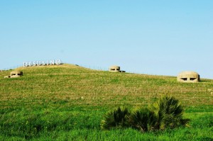 La Battaglia tra gli alleati e i soldati Dell’asse.