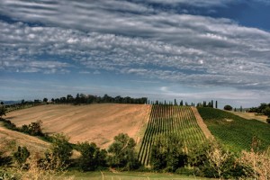 Le colline del Lambrusco