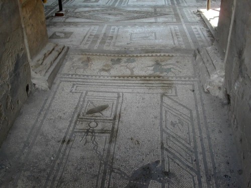 Pompei - mosaico