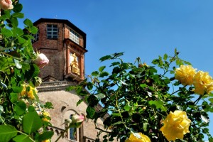 Il Duomo e le rose