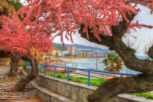 Primavera ad Arma di Taggia