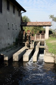 Mulino “Star Qua” 1