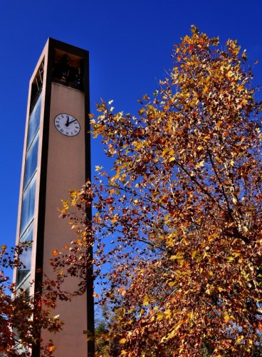 Piazza Armerina - Architettura Moderna! Piazza Armerina - Architettura Moderna!