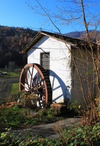 La ruota e la sua ombra