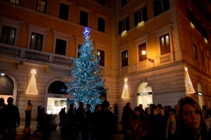 l’albero in blu
