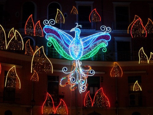 Salerno - L'araba Fenice Salerno - L'araba Fenice