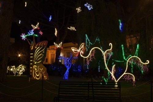 Salerno - La Fata delle Farfalle Salerno - La Fata delle Farfalle
