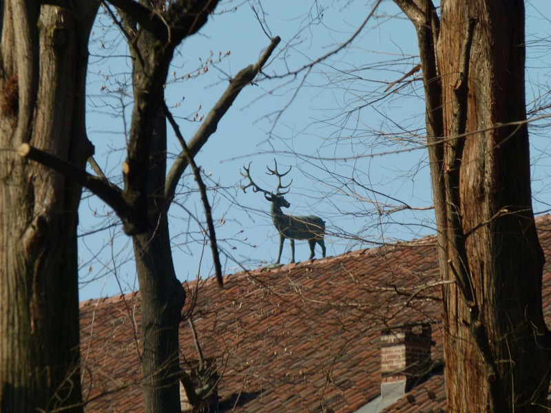 ''Il cervo sul tetto che scotta'' - Nichelino