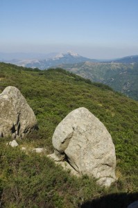 L’Elefantino o…..altro