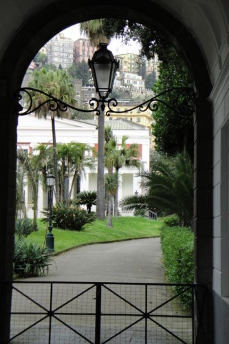 Napoli - E' nobile...non ama stare appeso ad una corda!