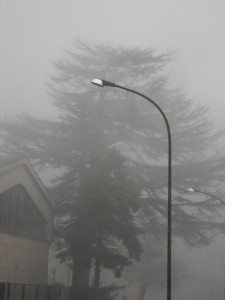 Luci nella nebbia