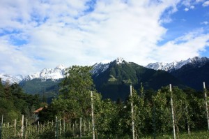 Mutspiz Gruppo Tessa